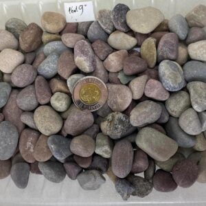 2.2lbs Natural River Decorative Rocks, 3/4in round rainbow Rock, Decorative Stone Pebbles - Ideal for Aquariums, Indoor Plants, Succulents, and Cactus Bonsai Plants